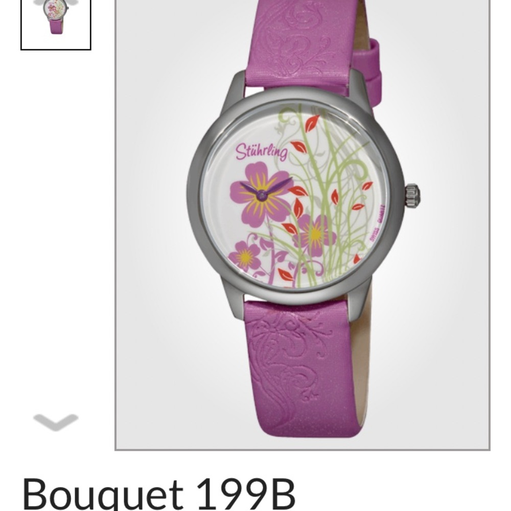 Stuhrling watch